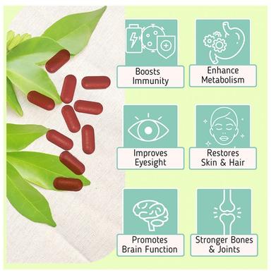 7X Wellness Nutrient Balance Tablet (60 Each) Bottle