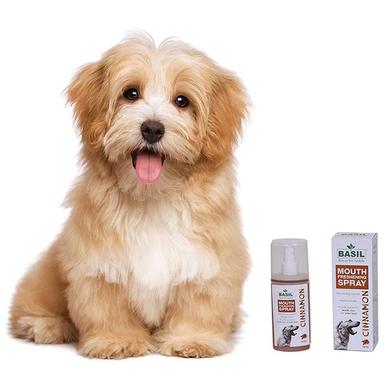 Basil Royal Yet Noble Mouth Freshening Cinnamon Spray