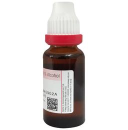 Dr Reckeweg &Co.gmbH Ruta Graveolens Mother Tincture Q