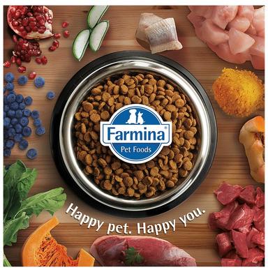 Farmina Pet Foods N&D Quinoa for Adult Cat Urinary