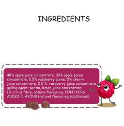 Fruit Forest Real Fruit Snack (30gm Each) Raspberry