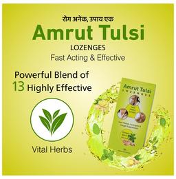 Amrut Tulsi Lozenges (6 Each) Ginger Mint