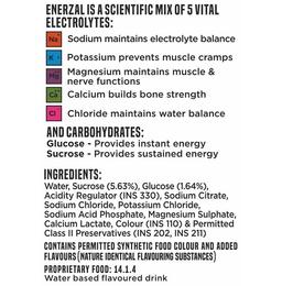 Enerzal Pet Energy Drink Orange